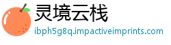 灵境云栈